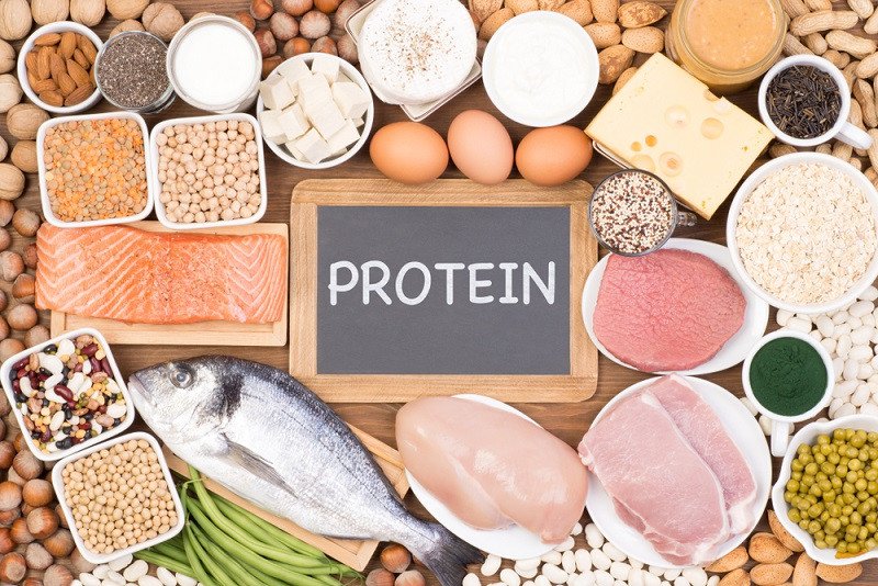 Chất đạm và những loại thực phẩm giàu protein