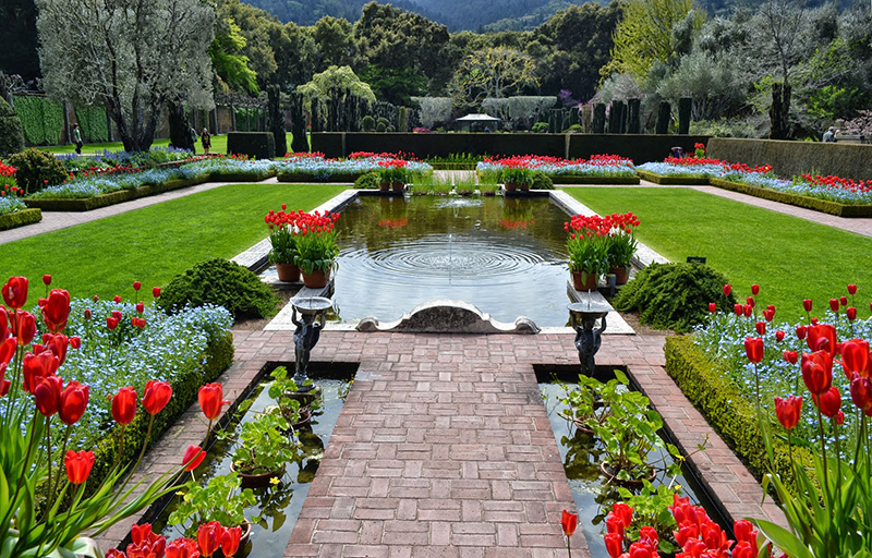Những phong cách thiết kế sân vườn đẹp và bắt mắt gia chủ nhất định không nên bỏ qua