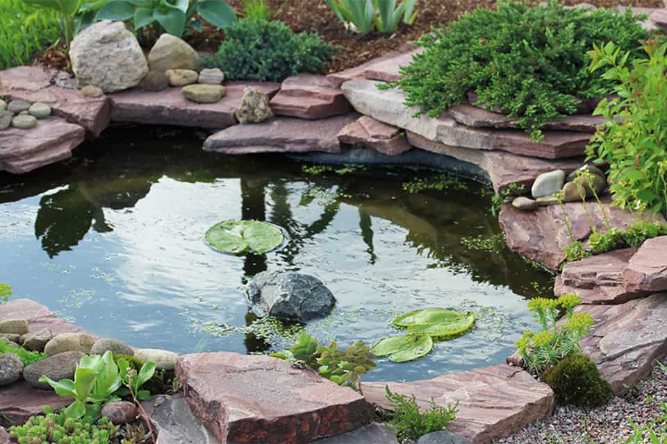 Những thiết kế nước trong sân vườn vừa đẹp mắt lại vừa hợp phong thủy